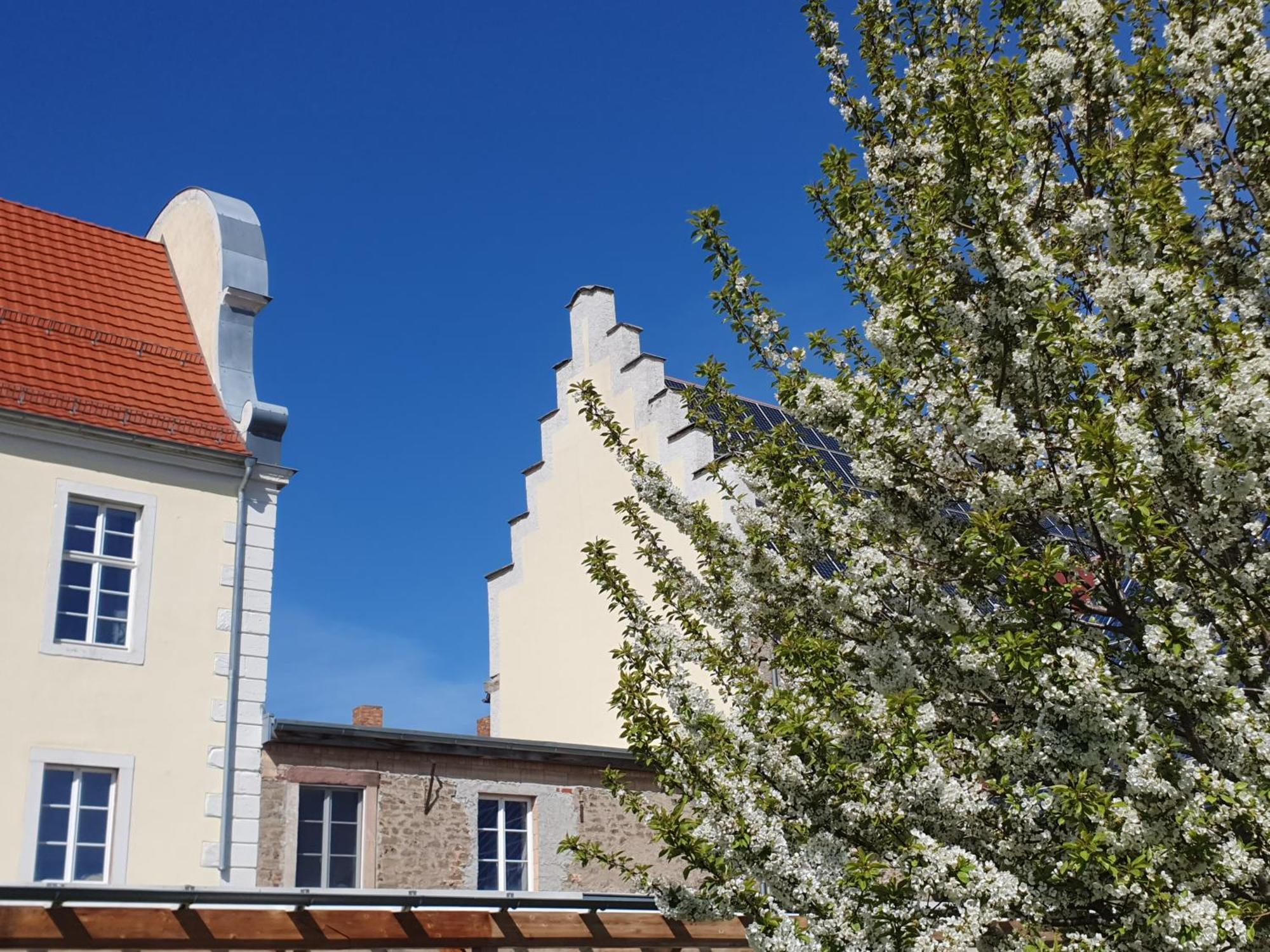 Sonnenschloss Walbeck  Екстер'єр фото